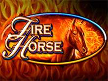 Fire Horse